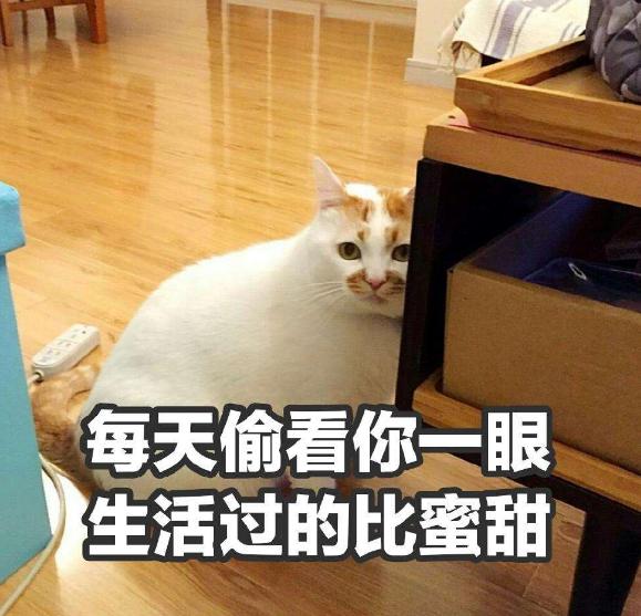 有趣的簡介可以吸引粉絲寶媽，有趣的簡介可以吸引粉絲寶媽嗎？