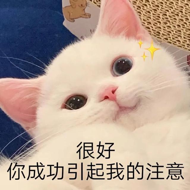 微信視頻號取名不重名（視頻號名字跟微信名字不同步嗎）