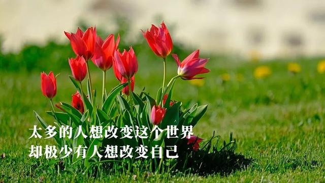 早上好的朋友圈說說正能量，早上好的朋友圈說說正能量帶圖片？