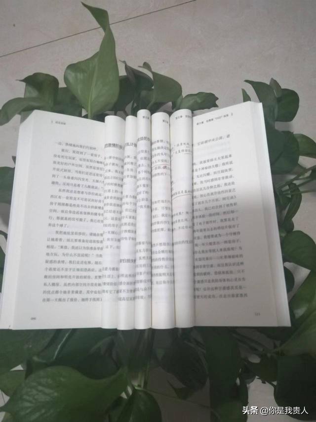 新手如何銷售（銷售新手快速入門）