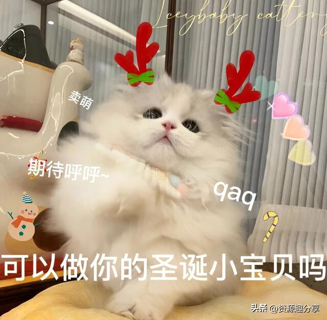 圣誕節(jié)發(fā)朋友圈文案，圣誕節(jié)發(fā)朋友圈文案簡(jiǎn)短？