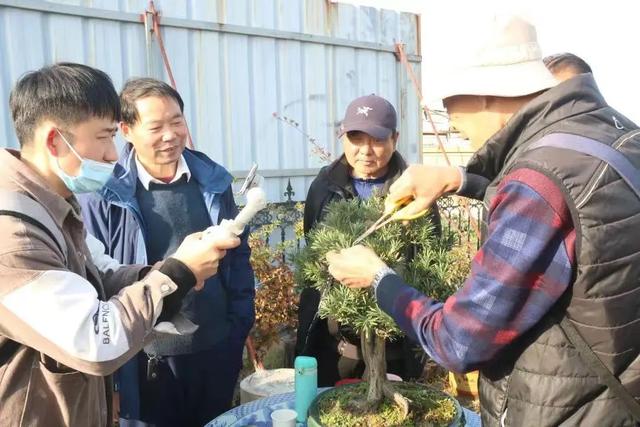 微信投票小程序怎么弄，微信投票小程序怎么弄限制投三項？