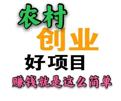 一個(gè)月入5萬的偏門項(xiàng)目（一天賺30000的暴利偏門）