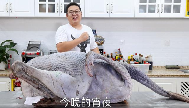 00萬的粉絲吃播一場能賺多少錢（吃播能賺多少錢）"
