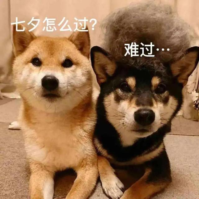 關(guān)于七夕的朋友圈文案，關(guān)于七夕的朋友圈文案簡短？
