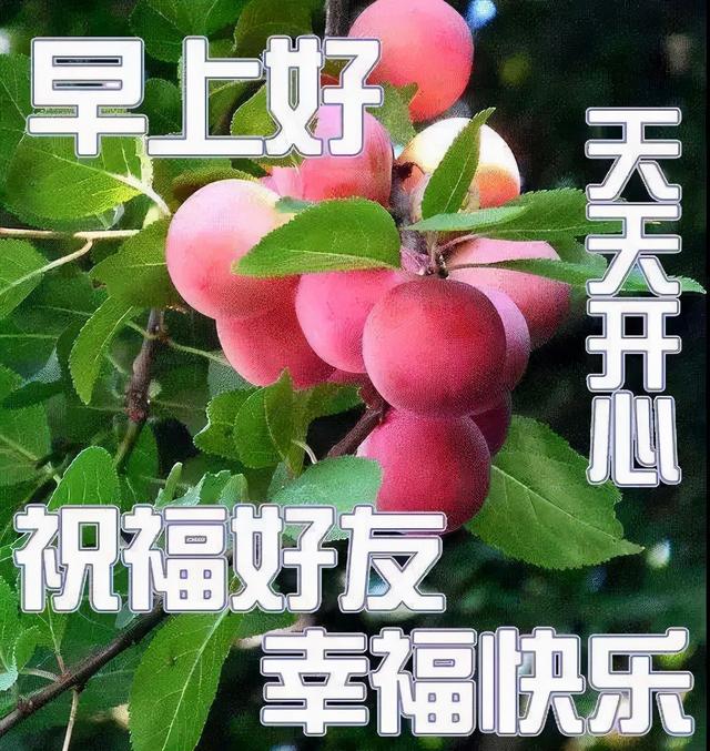 早上好的朋友圈說說正能量，早上好的朋友圈說說正能量帶圖片？