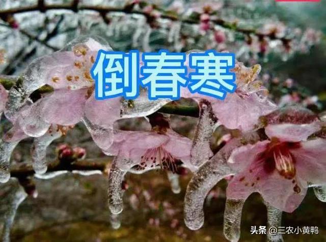 今天的天氣預(yù)報(bào)直播回放視頻，今天的天氣預(yù)報(bào)直播回放視頻下載？