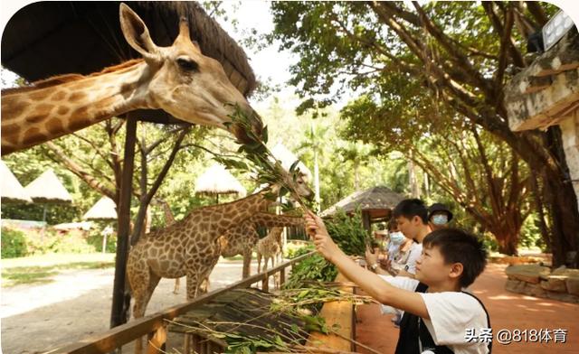 長(zhǎng)隆水上樂(lè)園項(xiàng)目圖片高清，長(zhǎng)隆水上樂(lè)園項(xiàng)目圖片介紹？
