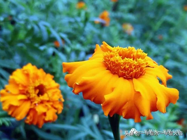 抖音輕飄飄的舊時光就這么溜走是什么歌，時光匆匆的歌詞有哪些歌抖音歌曲？