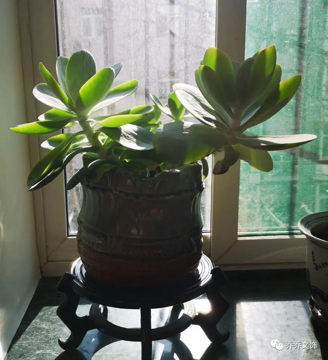 種花發(fā)朋友圈短句，花的圖片發(fā)朋友圈說說？