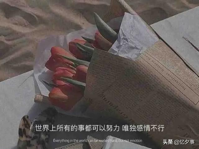 對方朋友圈一條橫線中間一個(gè)點(diǎn)是屏蔽了嗎，朋友圈一條橫線一個(gè)點(diǎn)是屏蔽還是刪除？