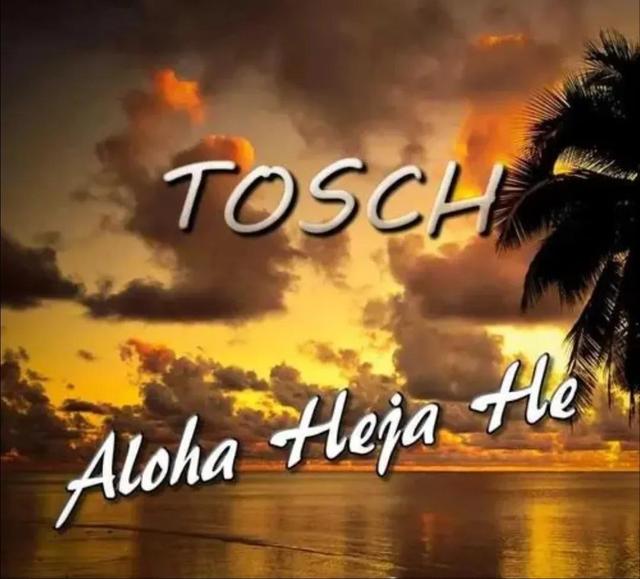 英文歌曲抖音上最火的歌曲2022，英文歌曲抖音上最火的歌曲2022緩慢？