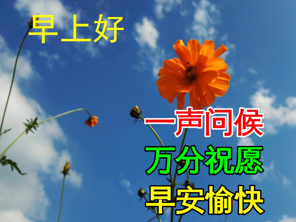 喝早茶的說(shuō)說(shuō)發(fā)朋友圈，喝早茶發(fā)朋友圈的句子簡(jiǎn)短？