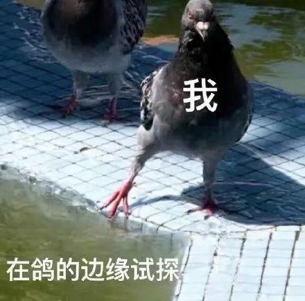 可以掙錢的軟件app下載（可以掙錢的軟件app游戲）