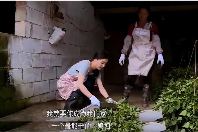 楊子姍（楊子榮）