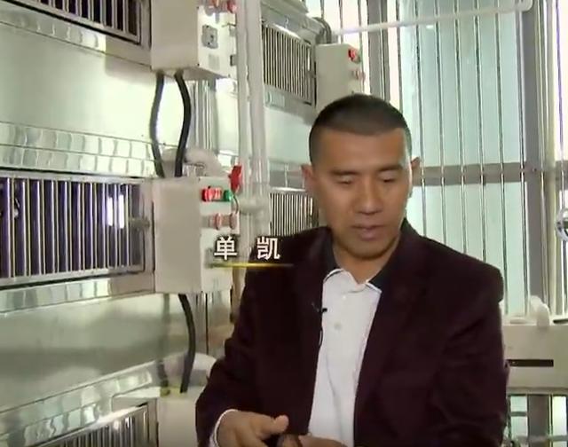 石金錢龜多少錢一斤2018（石金錢龜多少錢一斤2014年）