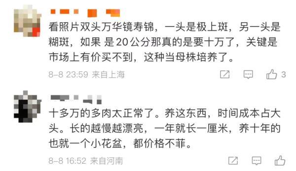 閑魚客服24小時熱線人工電話acecom閑魚客服24小時熱線人工電話號碼at（閑魚客服24小時熱線人工電話號碼）