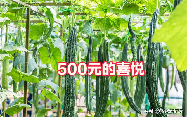 000萬怎么創(chuàng)業(yè)，500塊錢能創(chuàng)業(yè)嗎？"