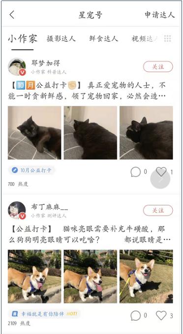 寵物店創(chuàng)業(yè)ppt模板免費(fèi)，寵物店創(chuàng)業(yè)計(jì)劃書市場營銷計(jì)劃？