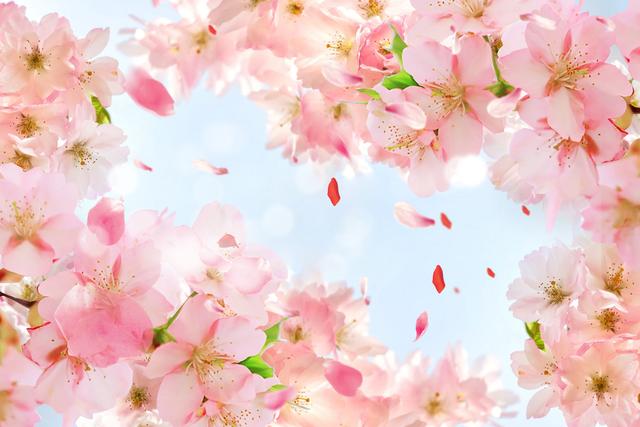 適合發(fā)朋友圈掙錢的句子幽默，適合發(fā)朋友圈掙錢的句子幽默搞笑？