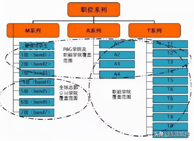 寶潔招聘（寶潔公司招聘崗位有哪些）