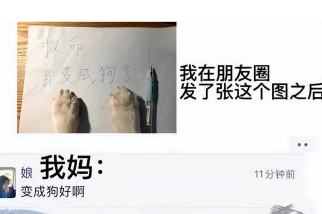 朋友圈屏蔽顯示什么橫線和點嗎，朋友圈屏蔽顯示什么圖標？