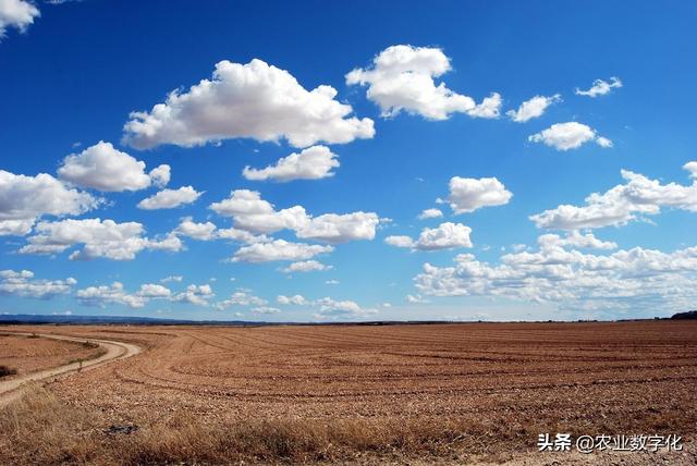企業(yè)組織架構(gòu)圖模板怎么做（企業(yè)組織架構(gòu)圖模板word）