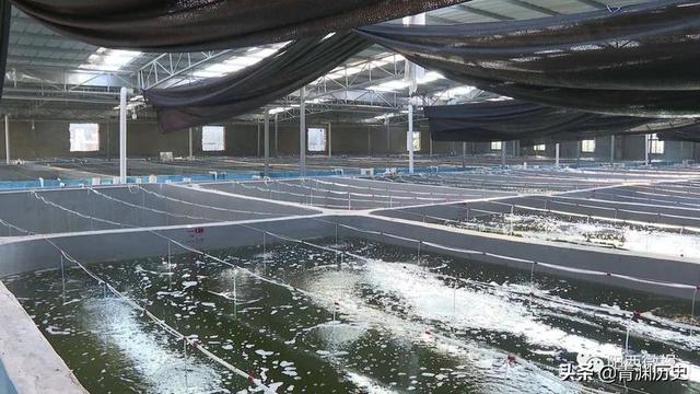 走投無路了找快速賺錢路子2020（走投無路了怎么快速賺錢）