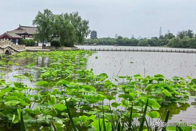 創(chuàng)業(yè)做什么好呢（創(chuàng)業(yè)做什么好2022）