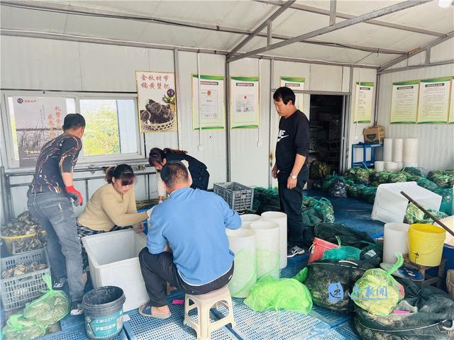 電商銷售主要做什么工作，電商銷售主要做什么工作內(nèi)容？