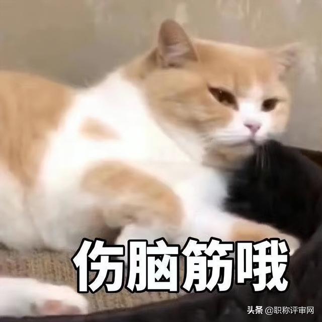 有哪些正規(guī)的投稿平臺給稿費（有哪些正規(guī)的投稿平臺推薦）