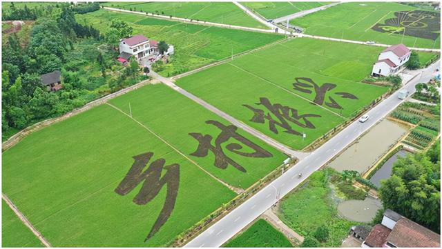 2個適合鄉(xiāng)鎮(zhèn)做的生意（50個適合鄉(xiāng)鎮(zhèn)做的生意）"