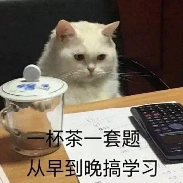 國內sa流量是怎么使用（國內sa流量可以用在哪里）