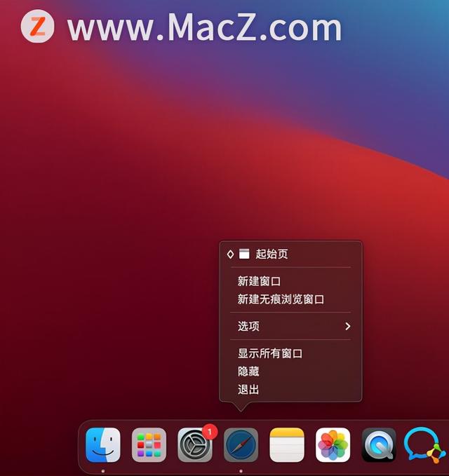 iwatch程序塢是什么意思（蘋果程序塢是什么意思）