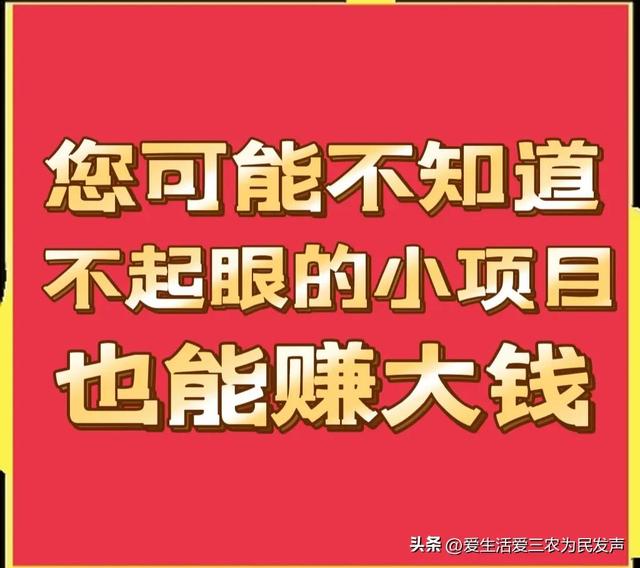 在農(nóng)村鄉(xiāng)鎮(zhèn)做什么能賺到錢呢（農(nóng)村鄉(xiāng)鎮(zhèn)干什么能賺錢）