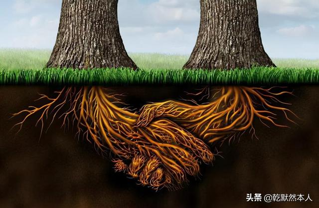 如何做短視頻自媒體賺錢抖音賬號(hào)，抖音自媒體視頻怎么賺錢？