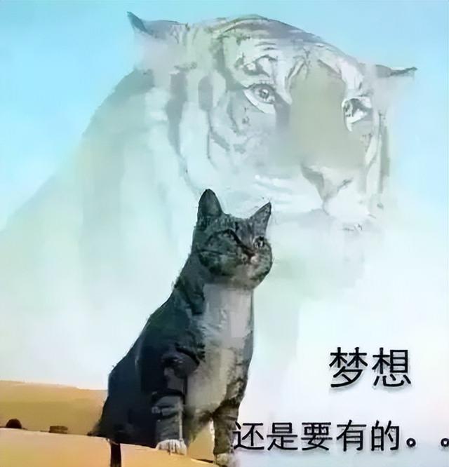 i57500參數(shù)怎么樣（i57500 cpu參數(shù)）