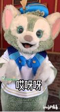 龜龜是哪個明星的粉絲名（龜龜是誰家粉絲）