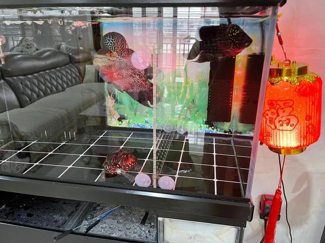 淘寶好玩到極點(diǎn)的東西是真的嗎（淘寶好玩到極點(diǎn)的東西有哪些）