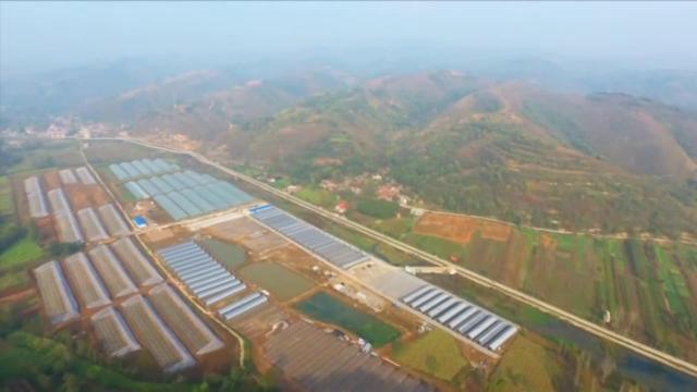 兩萬(wàn)塊錢做什么生意好不影響上班的（兩萬(wàn)塊錢做什么生意好不影響上班的說(shuō)說(shuō)）