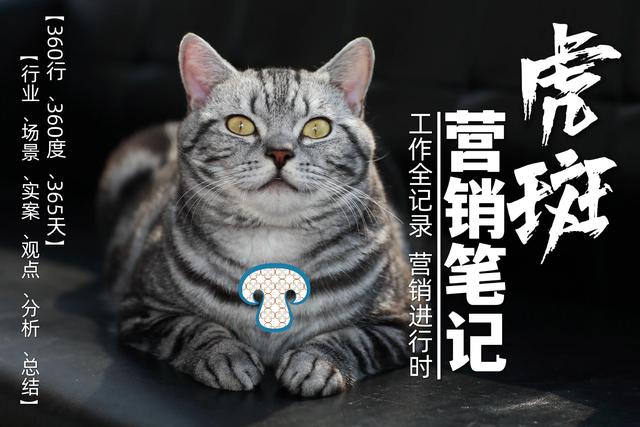 《虎斑營(yíng)銷筆記》第64頁“賣場(chǎng)內(nèi)的營(yíng)銷推廣活動(dòng)”