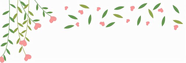 純上網(wǎng)卡無限流量哪個好，網(wǎng)卡用的流量卡哪個好？