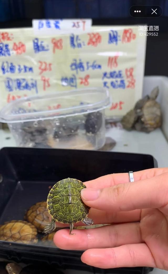 淘寶商戶(hù)專(zhuān)享額度是什么，淘寶商戶(hù)專(zhuān)享額度怎么用？