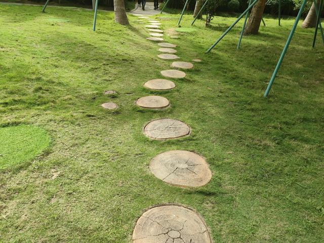 康養(yǎng)項目規(guī)劃設(shè)計方案存在的問題，康養(yǎng)項目規(guī)劃設(shè)計方案招標(biāo)