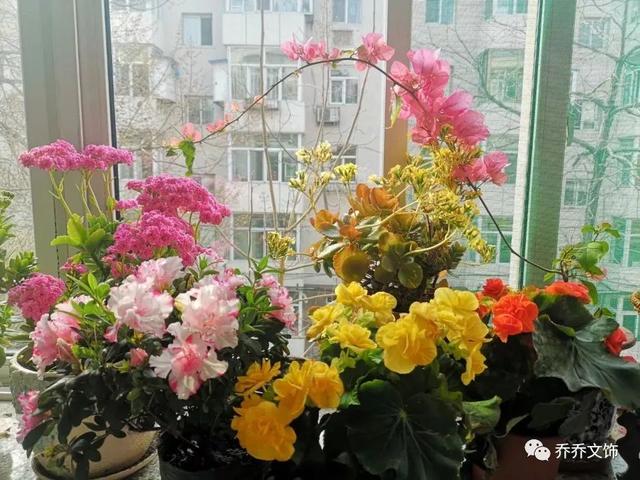 種花發(fā)朋友圈短句，花的圖片發(fā)朋友圈說說？