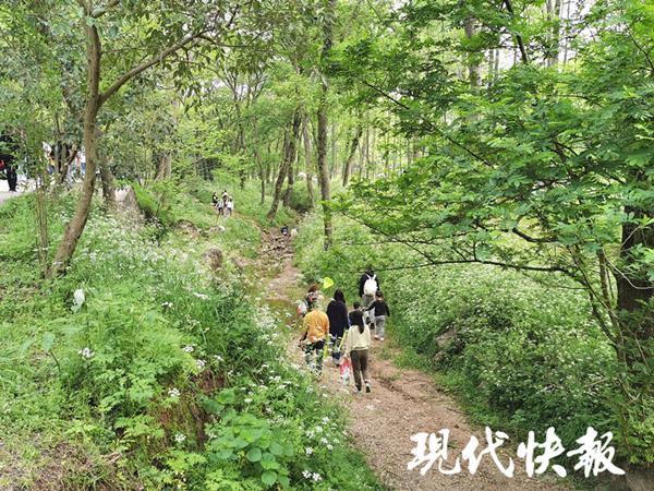 南京抖音網(wǎng)紅地點(diǎn)火車兒童（南京抖音網(wǎng)紅地點(diǎn)火車叢林）