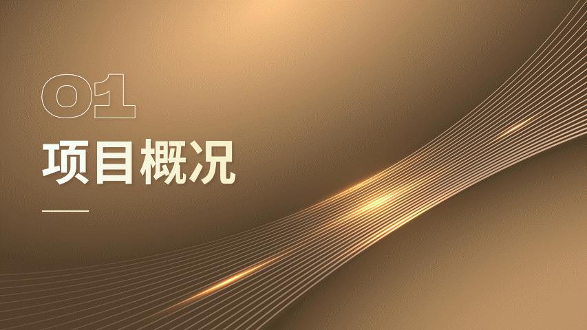 學(xué)生做ppt賺錢去哪個(gè)平臺（做ppt賺錢去哪個(gè)平臺賺得多少錢）