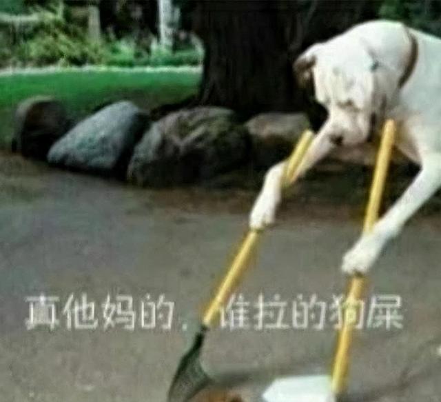順豐輸單員在家工作兼職（順豐輸單員怎么樣）