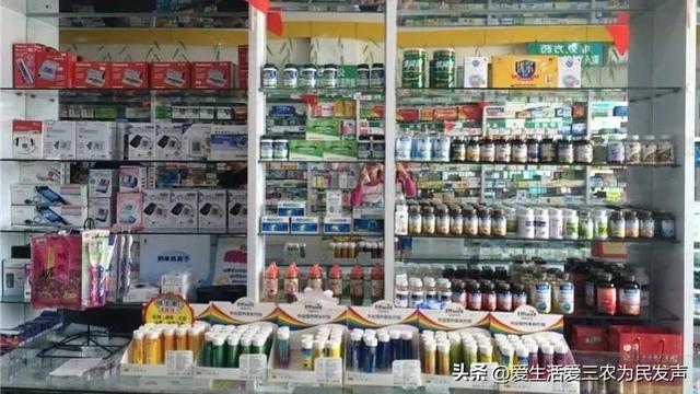 農(nóng)業(yè)致富好項目，農(nóng)村養(yǎng)殖致富？