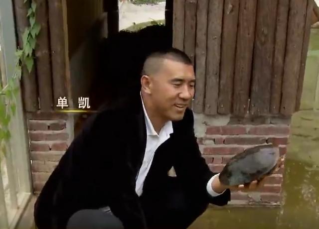 石金錢龜多少錢一斤2018（石金錢龜多少錢一斤2014年）